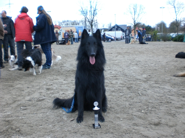 Buddy Offenburg 2008